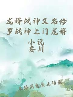 龙婿战神又名修罗战神上门龙婿小说