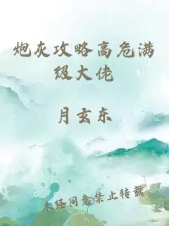 炮灰攻略高危满级大佬