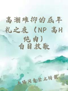 高潮难抑的成年礼之夜（NP 高H 纯肉）