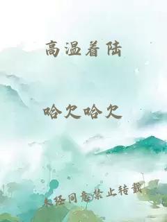 高温着陆