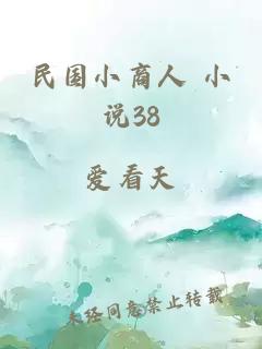 民国小商人 小说38