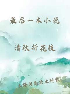 最后一本小说