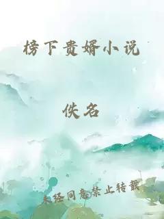 榜下贵婿小说