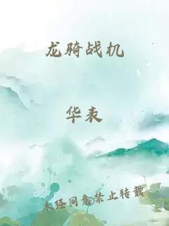 龙骑战机