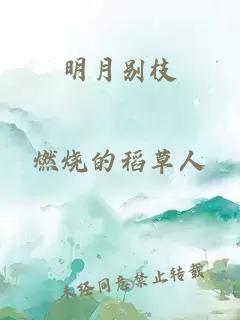 明月别枝