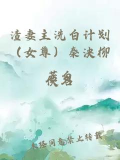 渣妻主洗白计划（女尊）秦泱柳若白